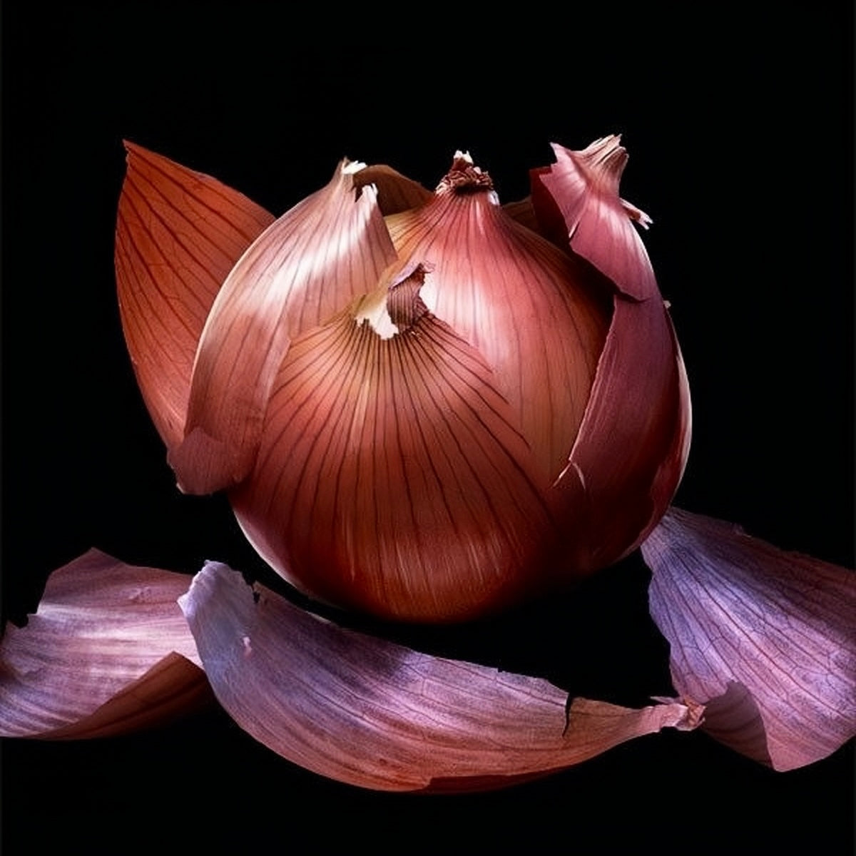 NIONEが玉ねぎの成分にこだわる理由