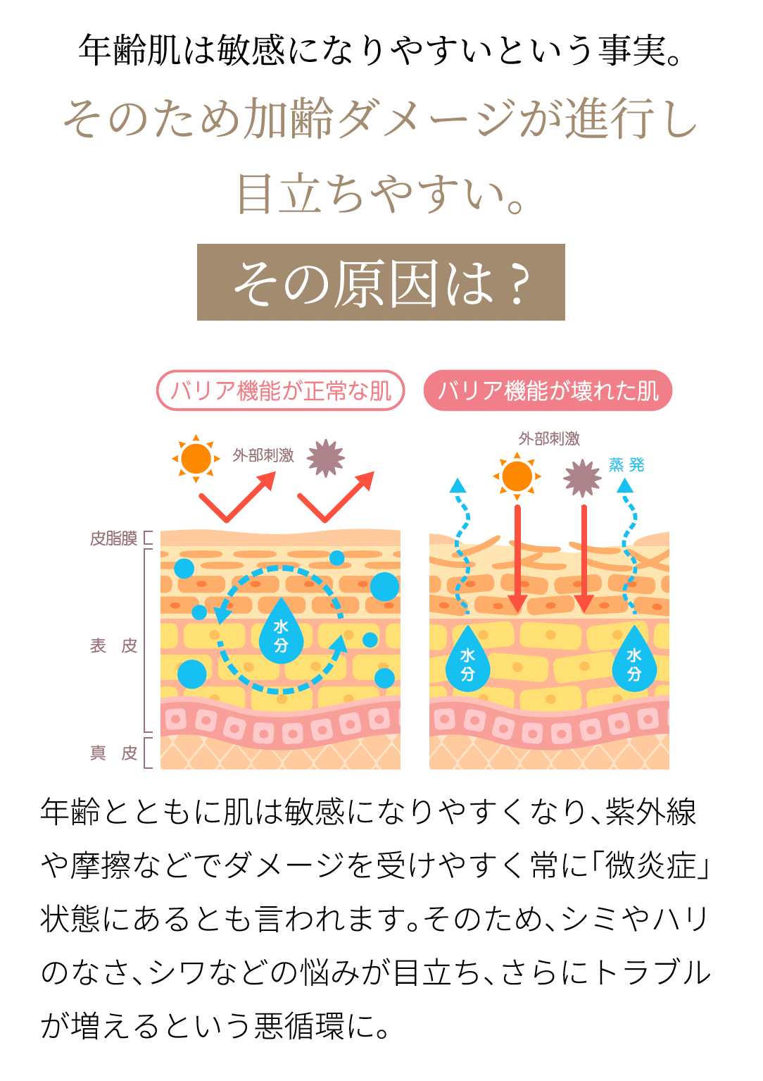 ブリリアントセラム