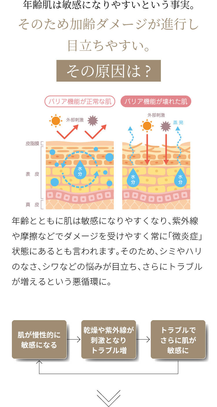 年齢肌は敏感になりやすいという事実。そのため加齢ダメージが進行し目立ちやすい。その原因は？